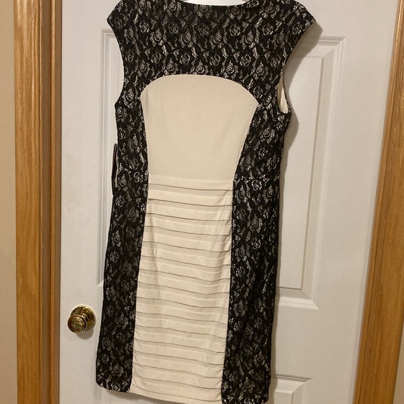 Scarlet Black and Cream Lace Dress - Picture 8 of 11